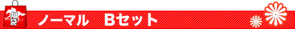 ノーマルBセット