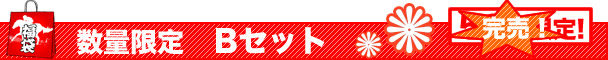 数量限定Bセット(限定数50)