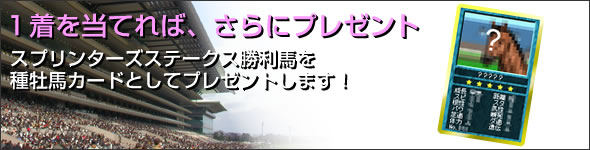 ■1着を当てれば、さらにプレゼント!さらに、ロトに参加して1着の馬を的中させた方全員に、スプリンターズステークス勝利馬を種牡馬カードとしてプレゼントします!※勝利馬が牝馬の場合は、勝利馬の父馬を種牡馬カードとしてプレゼントします!
