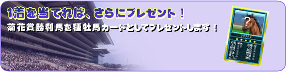 ■1着を当てれば、さらにプレゼント!さらに、ロトに参加して1着の馬を的中させた方全員に、菊花賞勝利馬を種牡馬カードとしてプレゼントします!※勝利馬が牝馬の場合は、勝利馬の父馬を種牡馬カードとしてプレゼントします。
