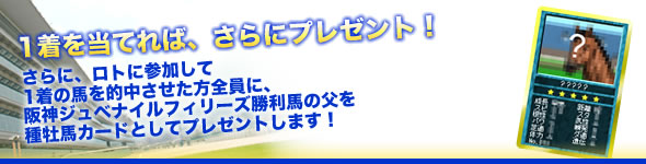 1着を当てれば、さらにプレゼント!さらに、ロトに参加して1着の馬を的中させた方全員に、阪神ジュベナイルフィリーズ勝利馬の父を種牡馬カードとしてプレゼントします!