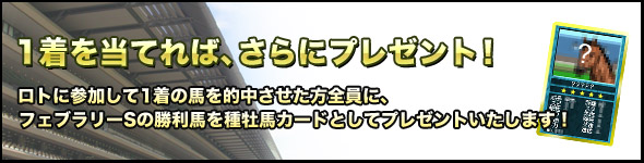 ロトに参加して1着の馬を的中させた方全員に、フェブラリーSの勝利馬を種牡馬カードとしてプレゼントいたします!