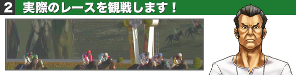 実際のレースを観戦します