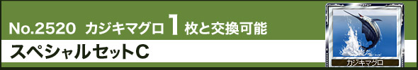 スペシャルセットC