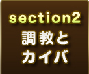 section2 ƃJCo