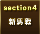 section4 Vn