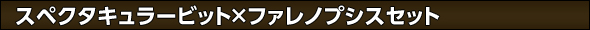 スペクタキュラービット×ファレノプシスセット