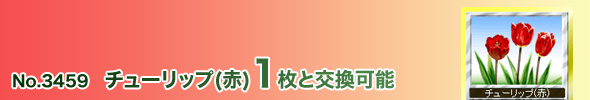 No.3459 チューリップ(赤)1枚と交換可能