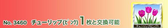 No.3460 チューリップ(ピンク)1枚と交換可能