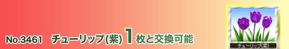 No.3461 チューリップ(紫)1枚と交換可能