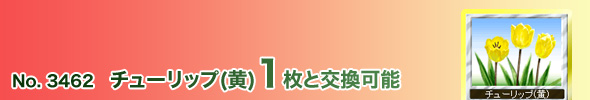 No.3462 チューリップ(黄)1枚と交換可能