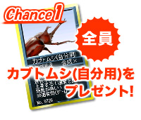 カブトムシ(自分用)をプレゼント