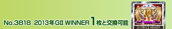 No.3818 2013NGⅡ WINNER 1ƌ\