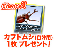 全相馬眼、ヤギ(SR)をプレゼント