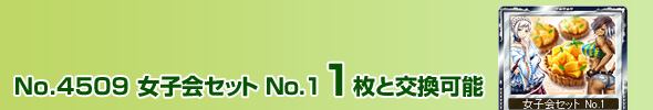 No.4509 女子会セット No.1 1枚と交換可能