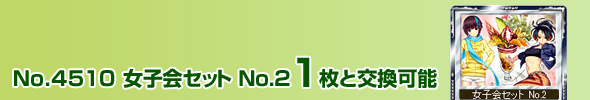 No.4510 女子会セット No.2 1枚と交換可能