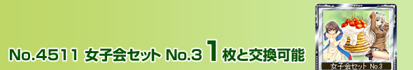 No.4511 女子会セット No.3 1枚と交換可能