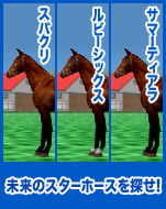 スパクリ / ルビーシックス / サマーティアラ