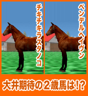 ペンデルヘイヴン / チキチキラスタノコ