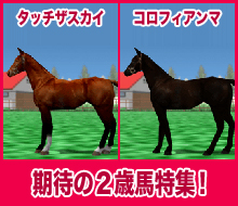 コロフィアンマ / タッチザスカイ