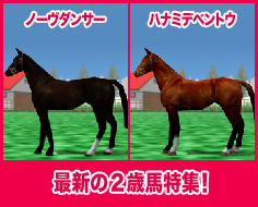 ノーヴダンサー / ハナミデベントウ