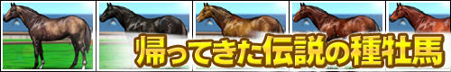 `̎퉲n