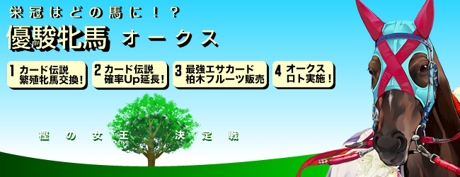 h͂ǂ̔nɁII[NX