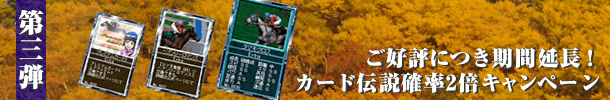D]ɂԉIJ[h`m2{Ly[