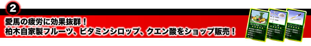 2e@n̔JɌʔQIu؎Ɛt[cvur^~VbvvuNG_vVbv̔I