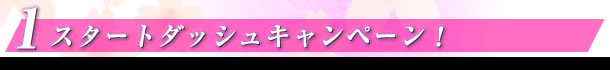 2e@X^[g_bVLy[I
