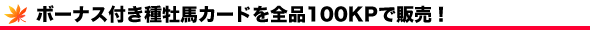 {[iXt퉲nJ[hASi100KPŔ̔I