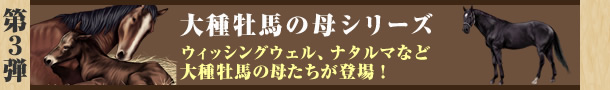 3ey퉲n̕V[Yz