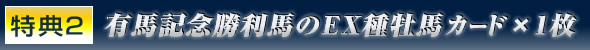 ���T2 �L�n�L�O�����n��EX�퉲�n�J�[�h�~1��