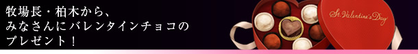 q꒷E؂A݂ȂɃo^C`R̃v[gI