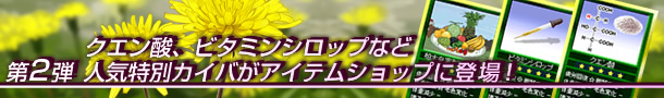 2e NG_Ar^~VbvȂǐlCʃJCoACeVbvɓo
