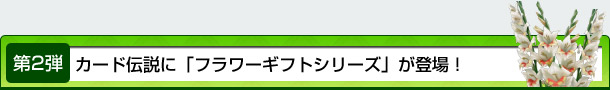 2e@J[h`Ɂut[MtgV[YvoI