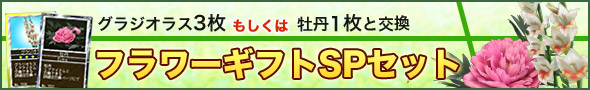 OWIX3͉O1ƌ\ t[MtgSPZbg
