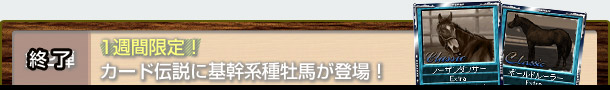 2e@1TԌIJ[h`Ɋn퉲noI