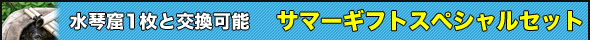 ՌA1ƌ\