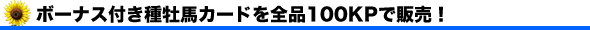 {[iXt퉲nJ[hASi100KPŔ̔I