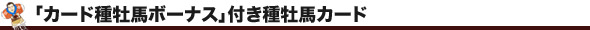 uJ[h퉲n{[iXvt퉲nJ[h