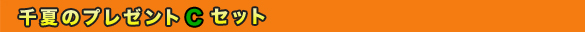 Ẵv[gCZbg