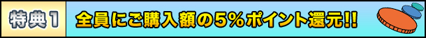 T1@SɃ`[Wz5̃|CgobNI