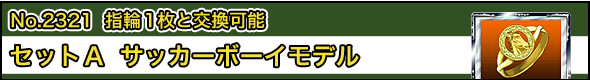 No.2321@w1ƌ\ ZbgA@TbJ[{[Cf