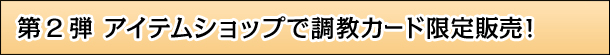 2e@ACeVbvŒJ[h̔I