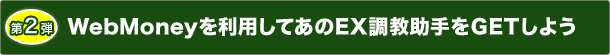 2e WebMoney𗘗pĂEXGET悤