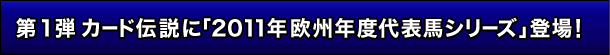 1e@J[h`Ɂu2011NBNx\nV[YvoI