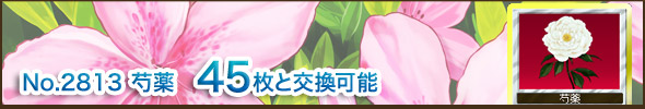 No.2813@䉖@45ƌ\