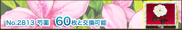 No.2813@䉖@60ƌ\