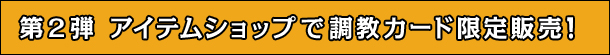 2e@ACeVbvŒJ[h̔I
